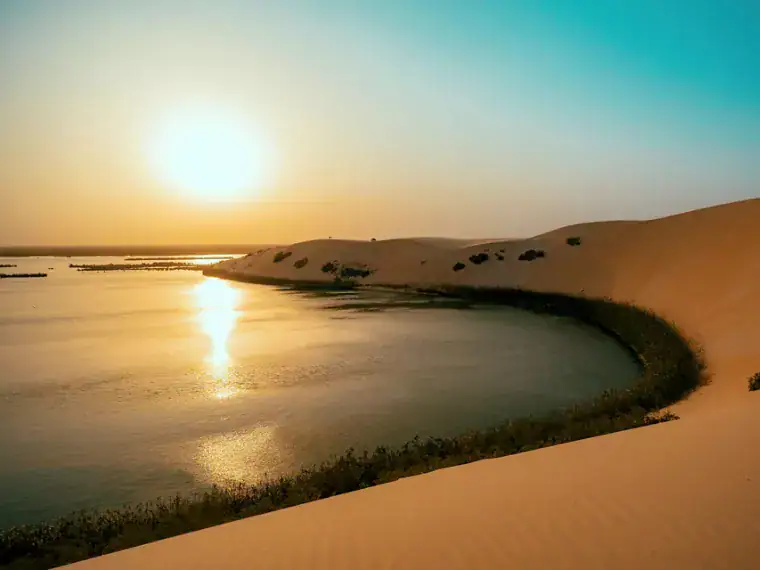 اكتشف «بحيرة الأصفر» موطن الطبيعة والطيور في قلب الأحساء