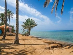 رأس الشبعان.. جوهرة أملج الساحرة