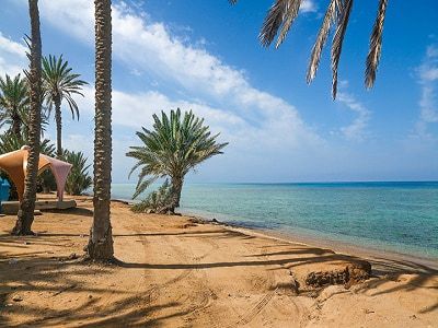 رأس الشبعان.. جوهرة أملج الساحرة