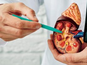 حصوات الكلى.. من التكوين إلى الوقاية والمواجهة الفعالة للمخاطر