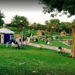 حديقة العليا الرياض .. دليلك الكامل للتنزه في قلب العاصمة الأخضر.