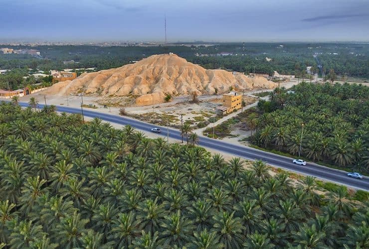 واحة الأحساء.. إرث تاريخي وقوة اقتصادية تغزو العالم من قلب السعودية