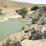 حديقة "عين الجمل".. عبق التاريخ يعانق قمم الرياض