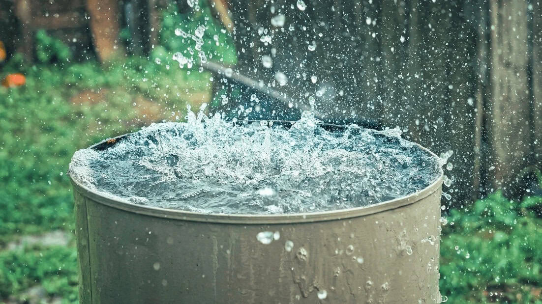 مياه الأمطار.. إكسير الطبيعة بين الفوائد الصحية المذهلة وتحديات السلامة