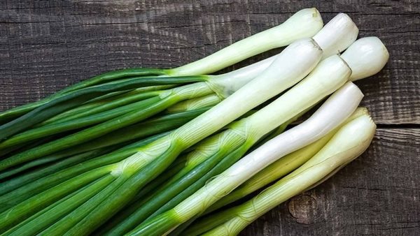 البصل الأخضر..صيدلية خضراء في طبقك اليومي لا تتجاهليها