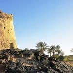 بلدة الغريف.. واحة النخيل وعراقة التاريخ في قلب الحجاز