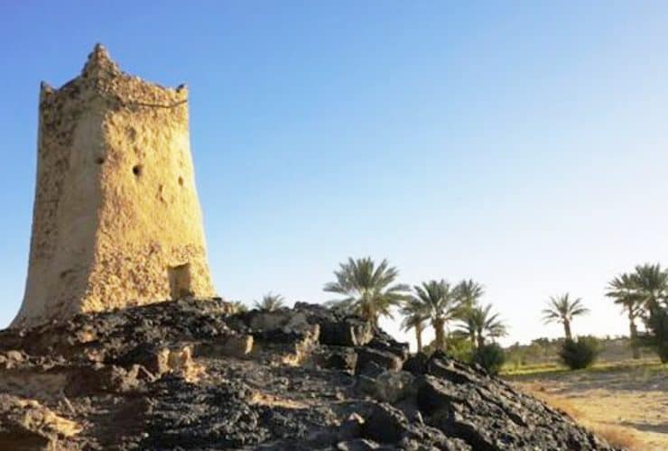 بلدة الغريف.. واحة النخيل وعراقة التاريخ في قلب الحجاز