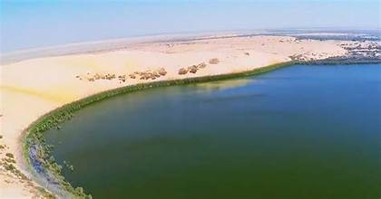 بحيرة الأصفر.. لؤلؤة الأحساء المنسوجة من سحر الرمل والماء