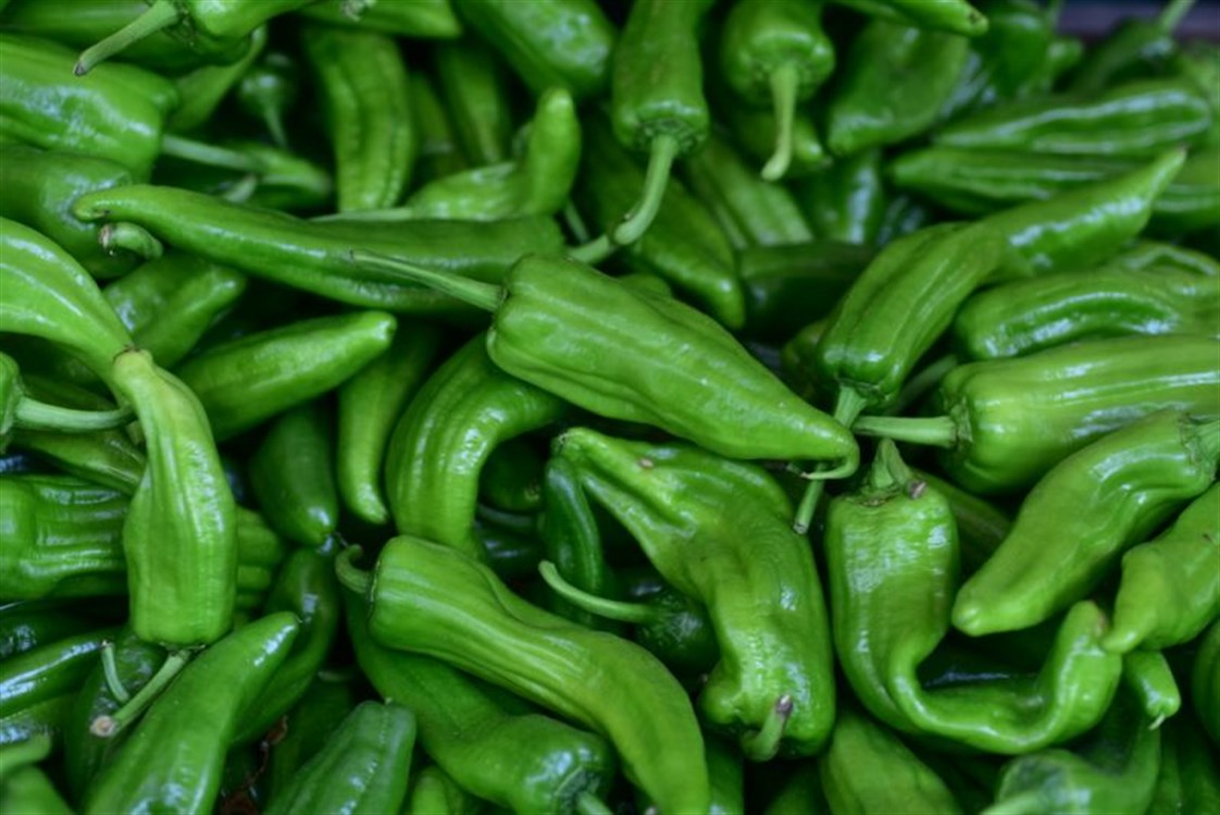 الفلفل الأخضر.. الكنز الغذائي المنسي في مطبخك