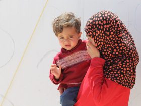 حياة الأرملة