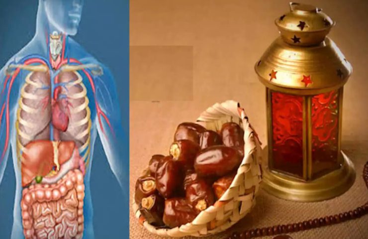 فوائد الصيام.. كيف يعيد شهر رمضان صياغة صحتنا؟