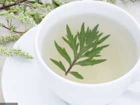 ما هو الشيح؟ عشبة طبية متعددة الاستخدامات وفوائدها الصحية