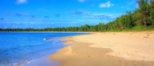 محمية جزيرة أم القماري.. تنوع بيئي فريد في قلب البحر الأحمر