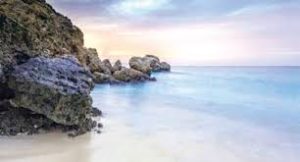 محمية جزيرة أم القماري.. تنوع بيئي فريد في قلب البحر الأحمر