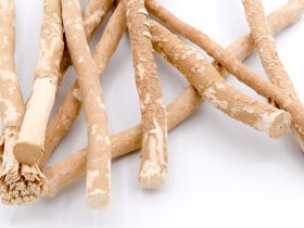 السواك.. "فرشاة الأسنان الطبيعية" وفوائدها المذهلة لصحة الفم والجمال