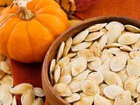 تعد بذور اليقطين (أو ما يعرف باللب الأبيض) أكثر من مجرد تسلية عابرة؛ فهي مخزن طبيعي للمغذيات التي تدعم صحة الجسم من القلب إلى العظام