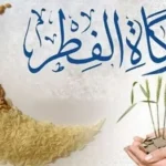 زكاة الفطر.. مقدارها ووقت إخراجها وأبرز أحكامها الشرعية