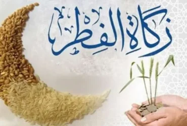 زكاة الفطر.. مقدارها ووقت إخراجها وأبرز أحكامها الشرعية