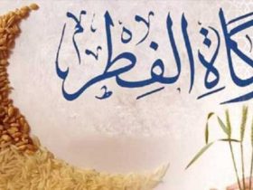 زكاة الفطر.. طهرة النفس وبسمة المجتمع في ختام رمضان