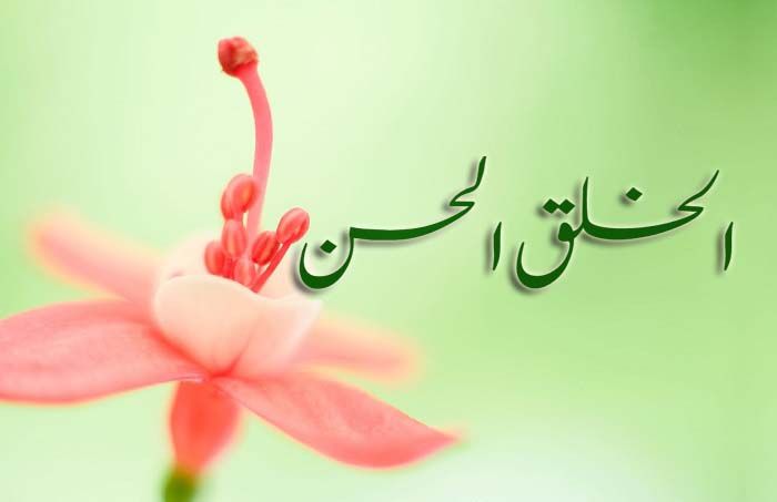 حسن الخلق .. جوهر الرسالة المحمدية وسبيل السعادة في الدارين