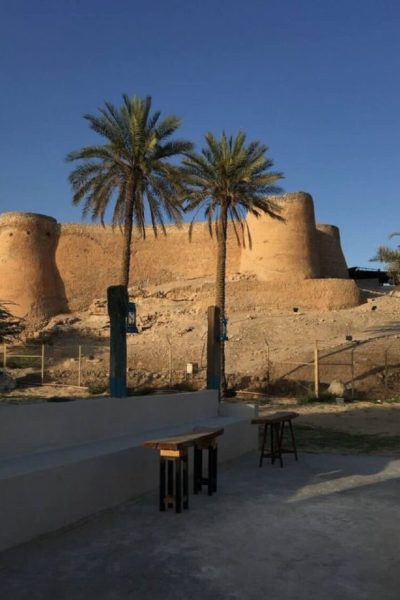 خليج تاروت.. رحلة عبر الزمن في قلب الساحل الشرقي