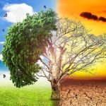  التغير المناخي لم يعد ترف فكري بل تهديد وجودي..تحذيرات يطلقها د. اسلام عنان