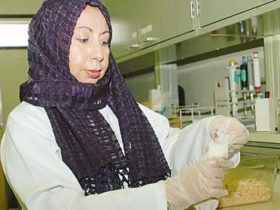 سهاد باحجري.. عالمة الكيمياء وأول سعودية تقتحم منصات البحث العالمية.