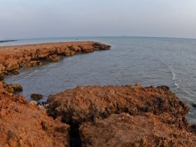 محافظة البرك: وجهة الاستجمام القادمة على ساحل البحر الأحمر.