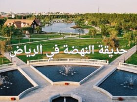 حديقة النهضة بالرياض.. واحة خضراء تجمع بين الترفيه وجمال الطبيعة