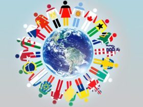 الثقافة.. قوة خفية تصنع الأفراد وتبني المجتمعات