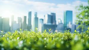 حماية البيئة في المملكة العربية السعودية.. منظومة متكاملة ومبادرات رائدة نحو الاستدامة