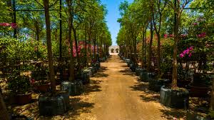 المشتل البيئي “بوتانيكا”.. خطوة سعودية نحو زراعة مستدامة واستعادة التوازن البيئي