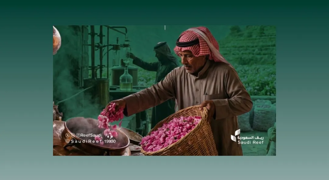 تطوير زراعة الورد في جازان.. مدن ومصانع حديثة لتعزيز الاقتصاد الزراعي