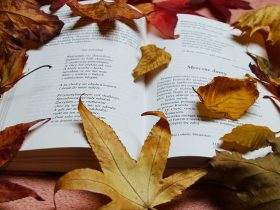 الترجمة الأدبية.. جسر ثقافي يعبر بالمعرفة إلى العالمية