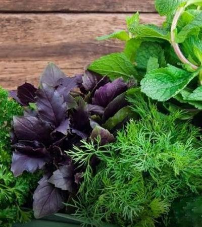 حيلة بسيطة في المطبخ.. كيف تحافظين على الخضراوات الورقية طازجة لفترة أطول؟