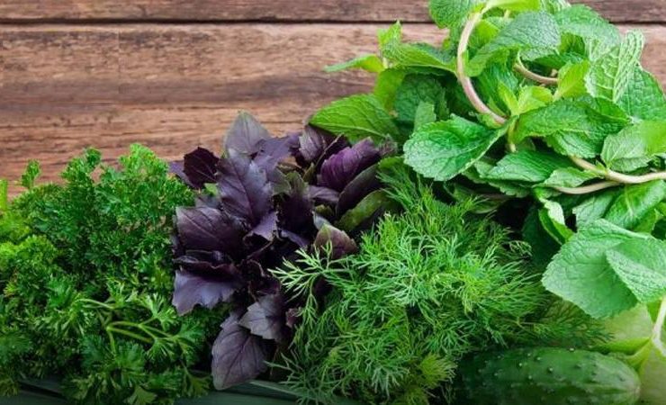 حيلة بسيطة في المطبخ.. كيف تحافظين على الخضراوات الورقية طازجة لفترة أطول؟