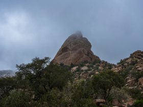 جبل الشفا بالطائف.. وجهة سياحية تجمع بين الطبيعة البكر وعبق التاريخ