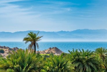 مقنا.. سيمفونية الطبيعة البكر على ضفاف خليج العقبة