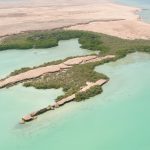 جزيرة "زُفاف".. لؤلؤة البحر الأحمر المكنونة وأيقونة السياحة المستدامة