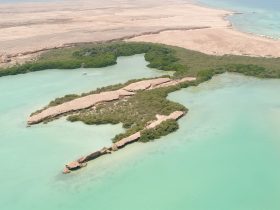 جزيرة "زُفاف".. لؤلؤة البحر الأحمر المكنونة وأيقونة السياحة المستدامة
