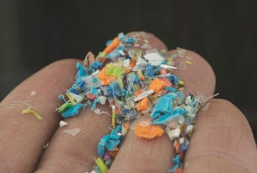 المايكروبلاستيك وتهديده الصامت .. هل هو العدو الخفي للحياة على الأرض؟