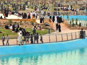 واحة الطبيعة والتاريخ.. الدليل الشامل للوصول إلى منتزه سيسد الوطني بالطائف