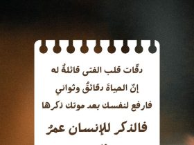 خلود الكلمة المكتوبة.. الأثر الممتد وعمر ثاني للإنسان
