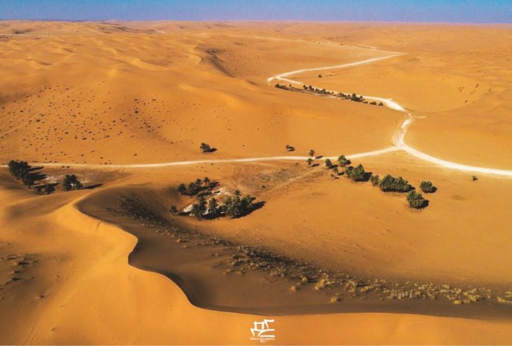 واحات المذنب.. وجهة طبيعية تزدهر وسط رمال القصيم