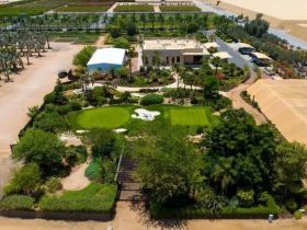 مشتل بوتانيكا البيئي.. مشروع سعودي يعزز الاستدامة ويعيد الحياة إلى البيئة الطبيعية