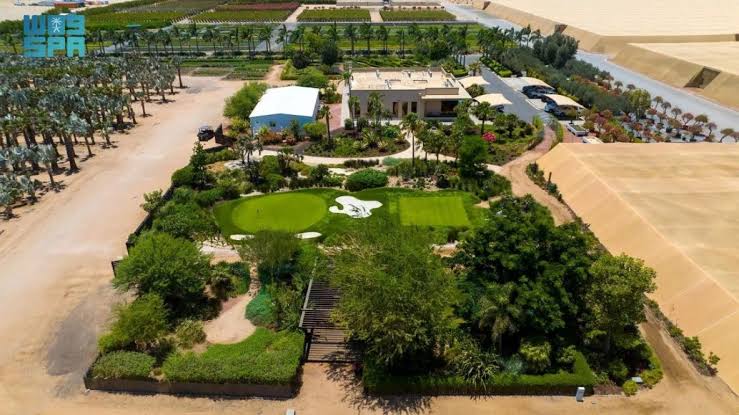 مشتل بوتانيكا البيئي.. مشروع سعودي يعزز الاستدامة ويعيد الحياة إلى البيئة الطبيعية
