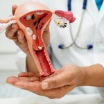قصور الغدد التناسلية..كيف تؤثر على الأبعاد الهرمونية، الجسدية والنفسية في الطب الحديث
