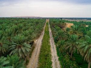 المعرض السعودي للسياحة الزراعية.. منصة لتعزيز الابتكار والاستدامة ودعم التنمية الريفية