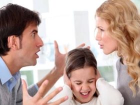 أدب الاختلاف الأسري.. 5 استراتيجيات لحفظ السلام المنزلي وحماية الأطفال