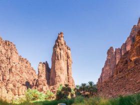 بركة النبوة وعراقة التاريخ.. جولة سياحية وأثرية في "عين تبوك" ومعالمها